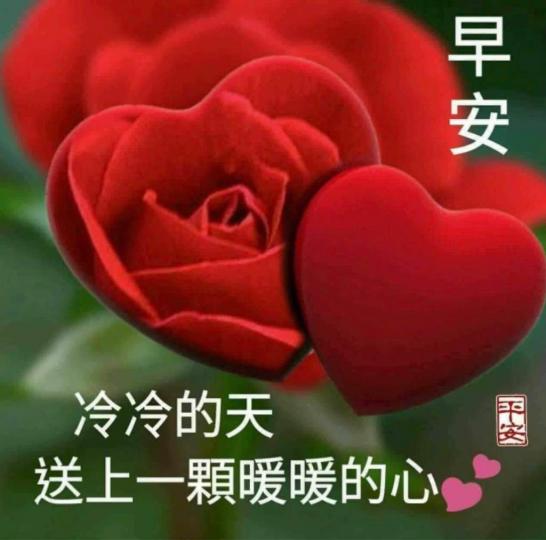 B5DFF1C0-BB83-414E-B405-64B19A296E40-3266-0000020252DDBA00