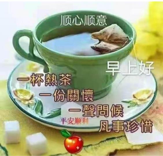 B6888A98-61A2-4E59-A4D0-CCA0981F010C-79622-000008B13BC54557