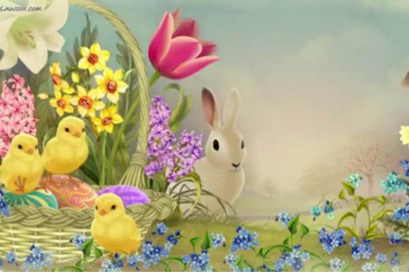 B75E2AF4-2E1E-4AB3-B6AF-9D22FBFE5090-19632-000002540658D872