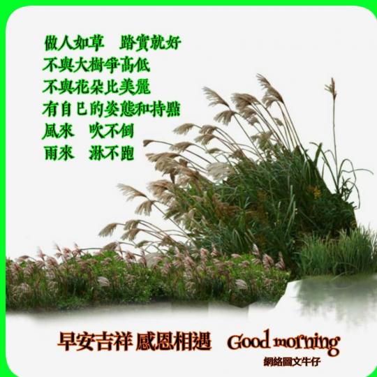 B7652085-3F40-475E-B062-1EF67E67706E-13638-00000184847F271D