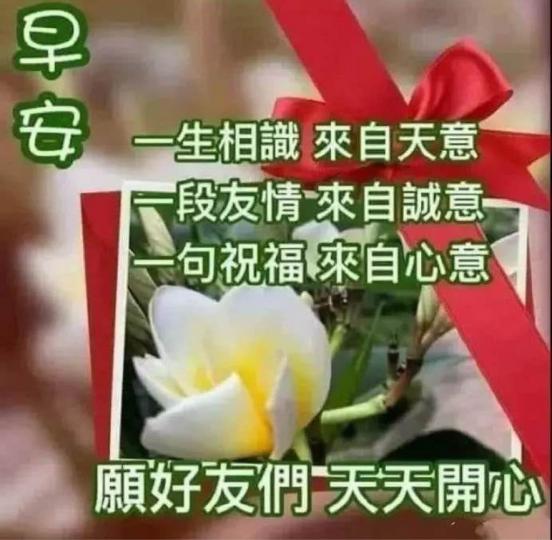 B78DA2BF-D611-49D4-91CC-4D84A8CFAFB9-8746-0000056C9528E198