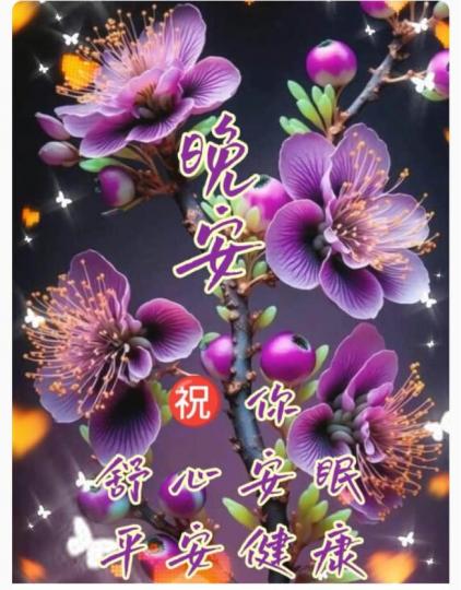 B7B92866-BE44-4B2F-8341-978BFC8B887E-67572-0000120F8D2E7CB0