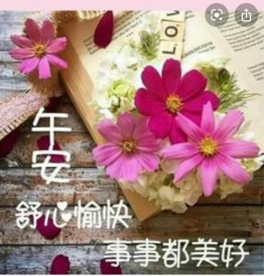 B847F13A-9E3B-4D7E-9531-6CAD77CC24FB-4636-000002A50B478993