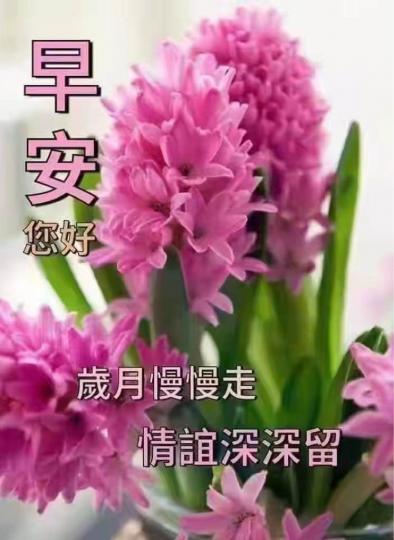 B94B94A9-2761-4879-897D-325A25044F00-17820-00000201374CDDB3