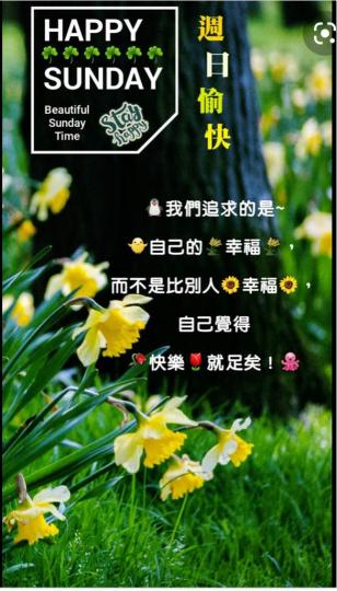 B9F309F0-1184-4E9D-BC9D-1A407BF2407C-13080-00000D22B74A582D