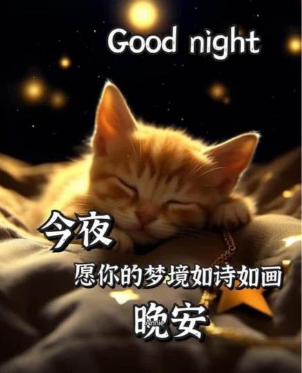 BA6BF015-74F7-414C-B33F-7AF652AE0EC0-1583-0000005053CF3FCC