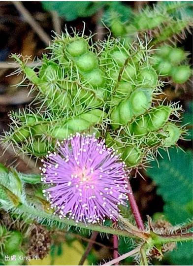 BAAE62D3-760D-4D11-95A4-A5122557A4B0-6891-00001717E8F42816