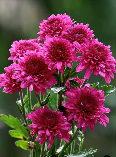 BB0991F7-28AA-4C19-9898-A487C11C24CD-42988-00000491F27DF12C