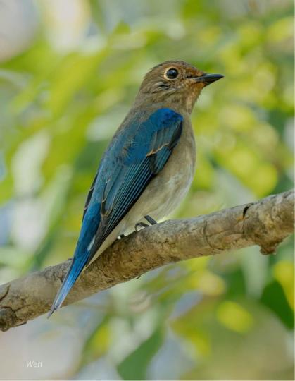 BB3071E3-904E-4517-BD7F-6C19A576256E-25074-0000029751B0A770