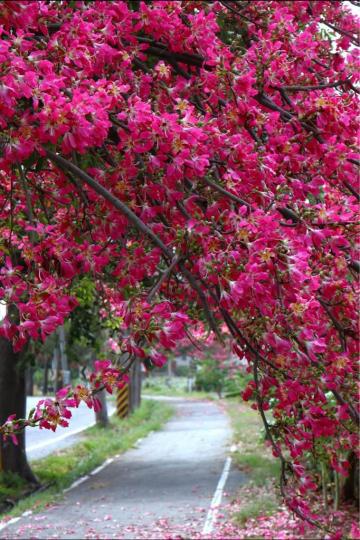 BB5039EF-B2AF-40AD-9E45-5BCFCE9F4236-49785-0000049DD56533AE