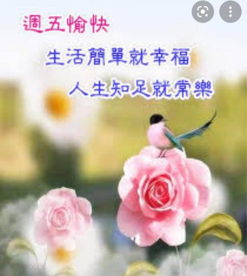 BB914AA6-5417-4572-8630-5ED8E7D03E4C-16243-0000037359A48B47