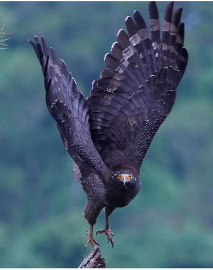 BBD83C39-3B5E-4D1B-9AAE-7C8812477BE7-79267-0000066D5FB9A7A4