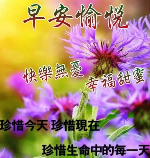 BCDABC95-166B-414C-8BB7-1D87D8417512-243-00000001AD64EEFC