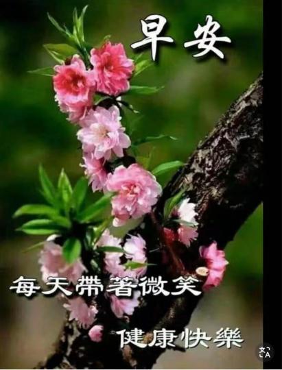BD041F5B-14F3-4900-919F-25C2D42A232D-43996-000004C9AED5429B