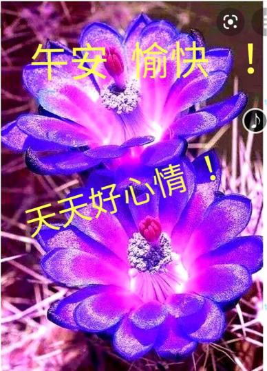 BD0810AD-7392-4568-8D72-7FCE8E1B89D3-15093-0000040846B31547