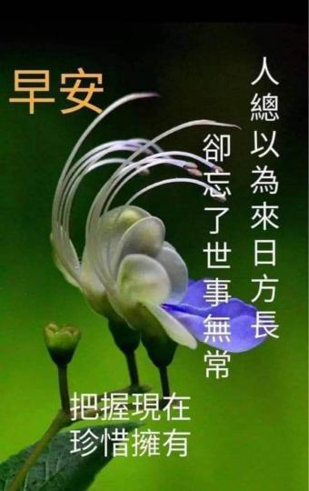 BD1F1D5A-E207-455F-800D-4485B9CFC85B-44917-00000513230EF06E