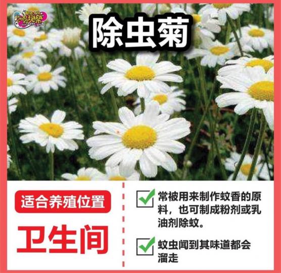 BEF31EC3-C67C-4064-A0E9-DD7869D11581-67486-000007FC12774835