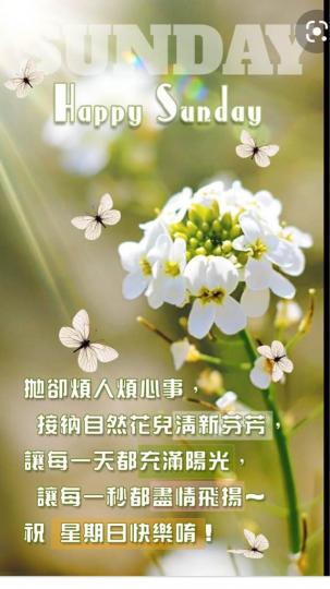 BF44EF83-705C-435C-93FA-5DCA4A40384D-30341-0000053993C25713