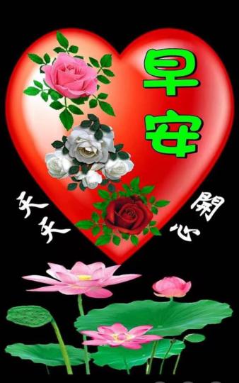 C0897781-8D59-42EA-8C5C-BD9E6E2DA5B3-1721-0000011CD8BC3064