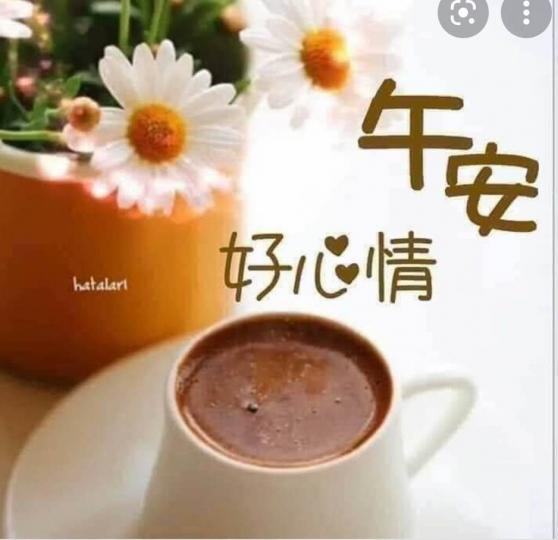 C0C91F37-A4DD-400A-87F0-E84F39B70570-12966-000002B111EF8915