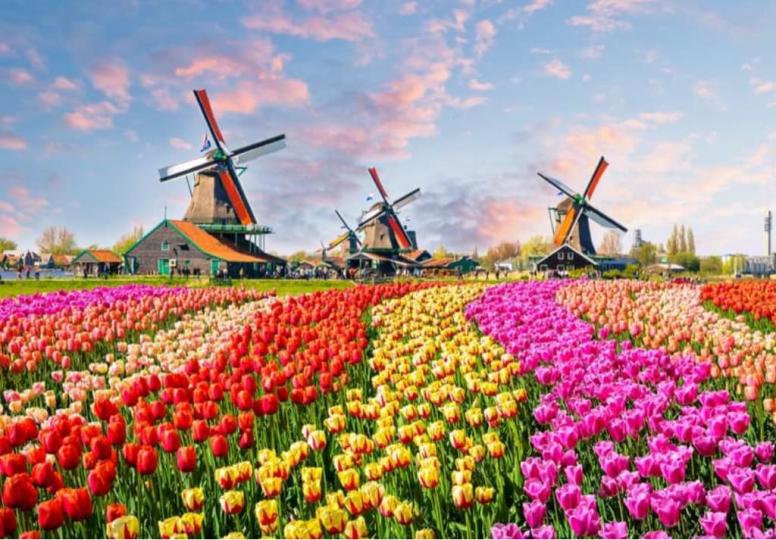 C0ED5F3B-9AD0-428D-96FF-1A62D489F152-3777-00000066FCF05F87