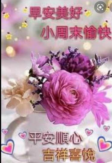 C11DCFA6-591B-4CCC-AAF1-CAC5F4E9D414-449-0000000807859711