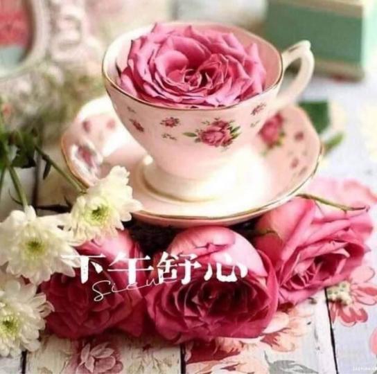 C1411134-A0A8-4DAB-B0C3-EDFEA1578C8C-1666-0000002E6B84559B
