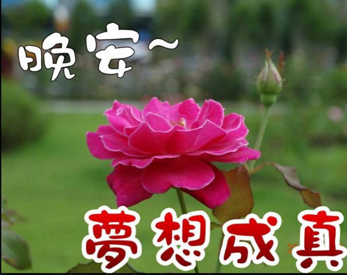 C146FDD5-9DF5-4864-A3AE-6D2F3D67A31C-1219-00000061DC7D5FBC