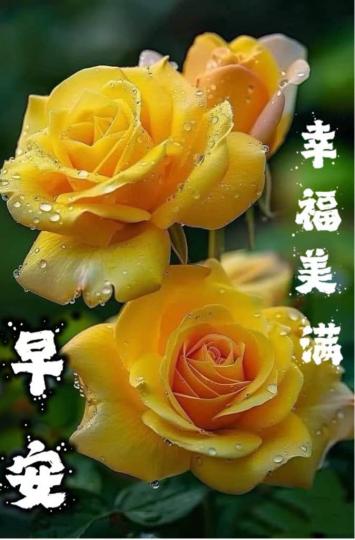 C1F4201B-EB04-4D62-BB94-827225B3BFD2-45307-0000038BDD459DAD