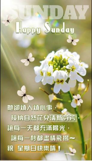 C22775DA-6961-4E0F-8358-333F8FC86EB7-35452-000003C030FED7E4