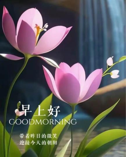 C25DC601-C1BD-4A2F-B1C8-196F93257F12-6219-000000C8C734FFF3