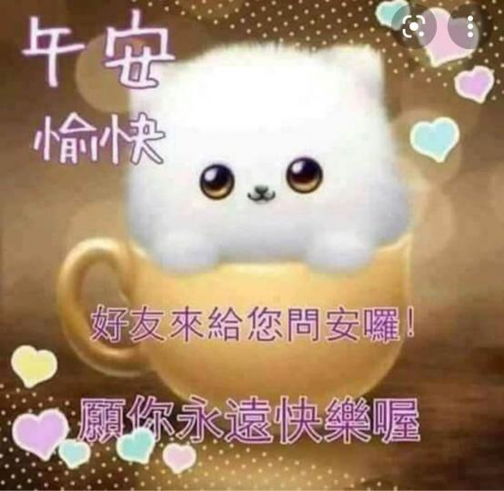 C271A403-53B6-488D-8FF2-19319909B5DD-19411-00000366E66D4756