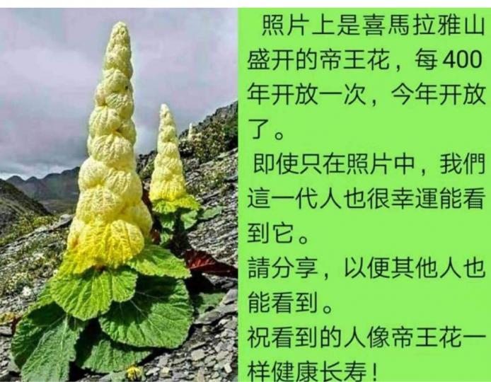 C27B8DB1-B80E-4C44-8069-CFB8631CD846-60335-000008AEB3F140CA
