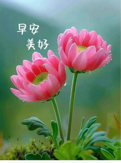 C3A9E98A-3439-42F4-BA40-BB7DA3B62190-19298-000002196E541B4E