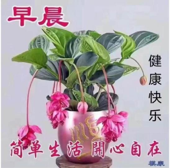 C3DE9ADD-08B3-45C2-A57E-B2EE119D3EBC-83745-0000093C5E9CAA07