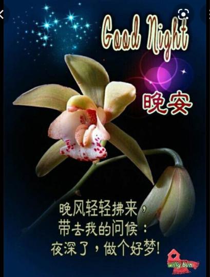 C4F8E8A4-2FAB-4277-AB70-5B179D2FE1D6-25040-000002B6D24B2594