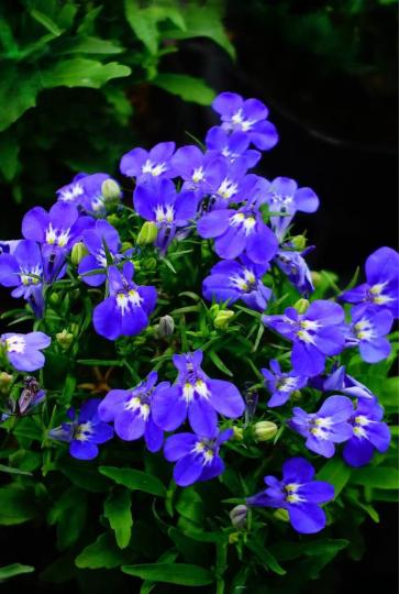 C51ED546-ACA5-4281-B648-B4974CF56F46-57904-0000057F859D5DC8