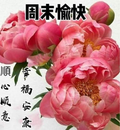 C58035C7-CC64-49C6-8016-BE7004FB82AE-12053-0000052718CE3C26