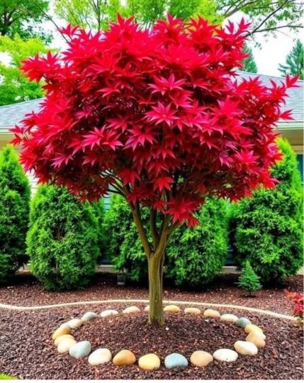 C59CDA0D-4A96-4835-88B1-2E0D29DB87E0-74377-00001EB633734366