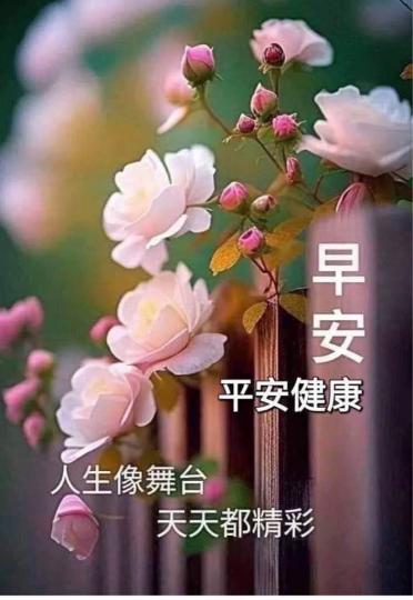 C64CB0B5-E5BD-48F0-91FC-619E43BECF78-21772-00000266DFE05F35