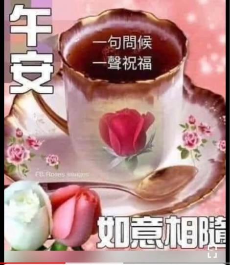 C6F5D905-E4BE-4CBE-88C1-FF61D92848A9-25266-000002C1CDB4565D