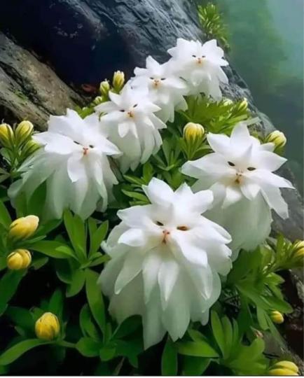 C82140AC-F6A0-429B-A709-D999F1DED299-18103-000001F6AF94A7EF