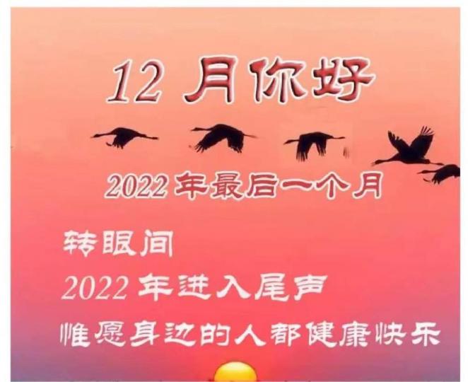 C85632B6-1268-487D-9FA6-471A34D7FBC2-38880-0000044C0E8A0A8C