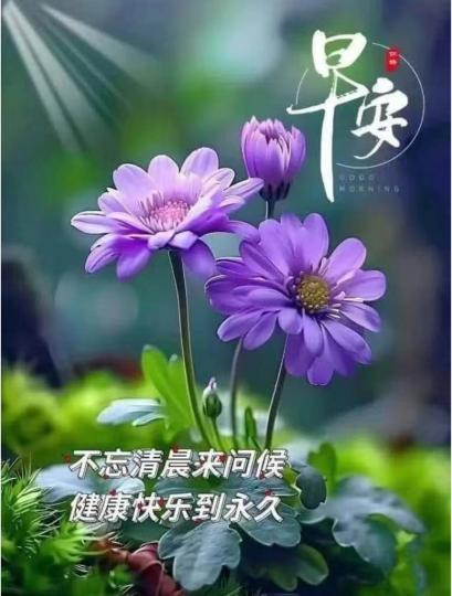 C85B5099-FC3F-4BEC-8BF9-DAE5ADEB979A-70357-00000763B51CC398