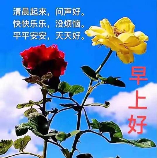 C8D48E50-2029-4065-A543-178CBC11262A-33122-0000061B841DB372