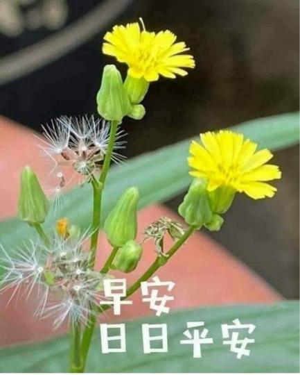 C90D118E-8715-42DF-AD2B-91A04243A75B-16735-000001896592D97F