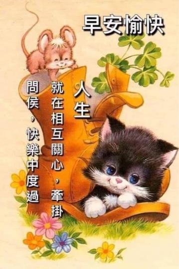 C95F4C3C-A348-434D-B4F9-9CF493C3EC68-12348-0000013EE8A24798