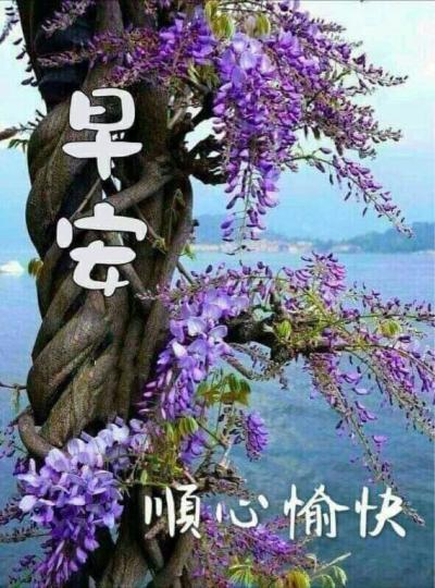 CA1783C6-BE08-47B9-970F-7F7A23D3A2FE-21939-000006C3362686D9