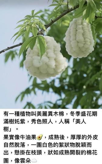 CAA1EB21-F435-4E1A-8A9D-6CB53CBAA0C1-4896-0000008944D0C988