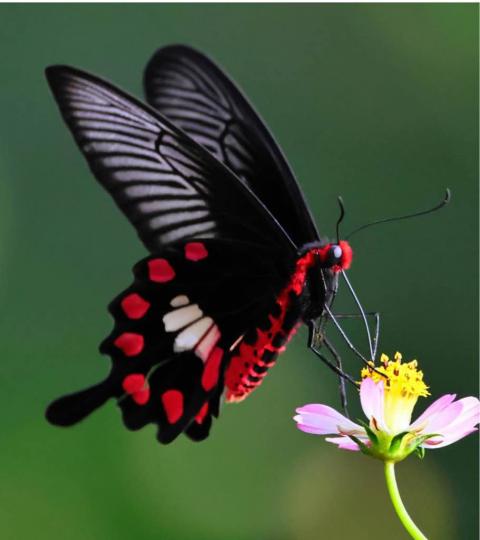 CAF473F6-9D7B-41CA-83CA-69AAB3B1B496-63048-00001D9A97E1F500